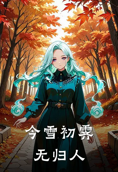 今雪初霁无归人